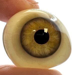 Antique Beautifully Detailed Green Hazel w/Grey Ring Prosthetic Eye Actual Glass